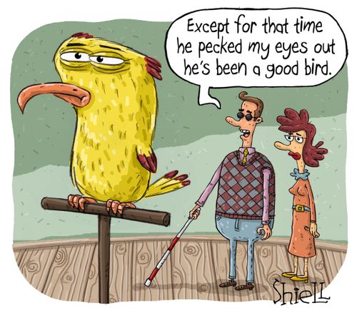 "Except for that time he pecked my eyes out he's been a good bird."