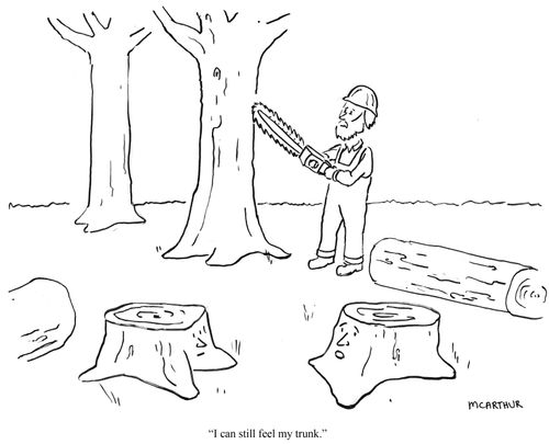 "I can still feel my trunk."