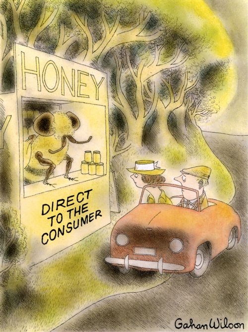 (Direct to the Consumer)