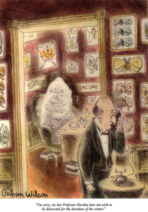 "I'm sorry, sir, but Professor Dornley does not wish to be distracted for the duration of the winter."