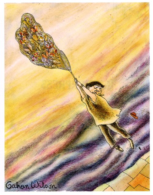 Catching Butterflies