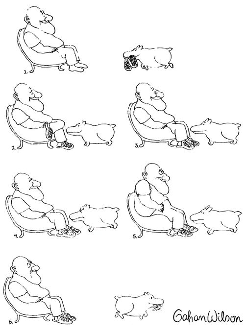 A dog brings a man his slippers, and receives a tip.