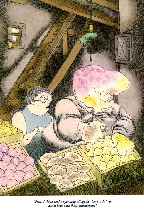 "Fred, I think you're spending altogether too much time down here with these mushrooms!"