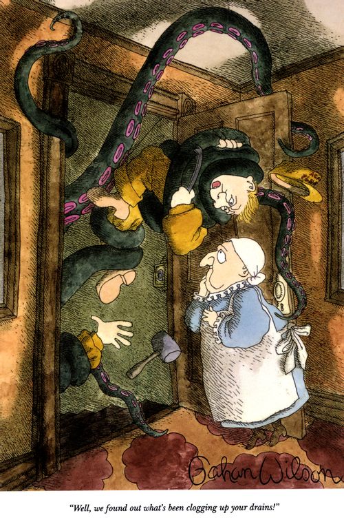"Well, we found out what's been clogging up your drains!"