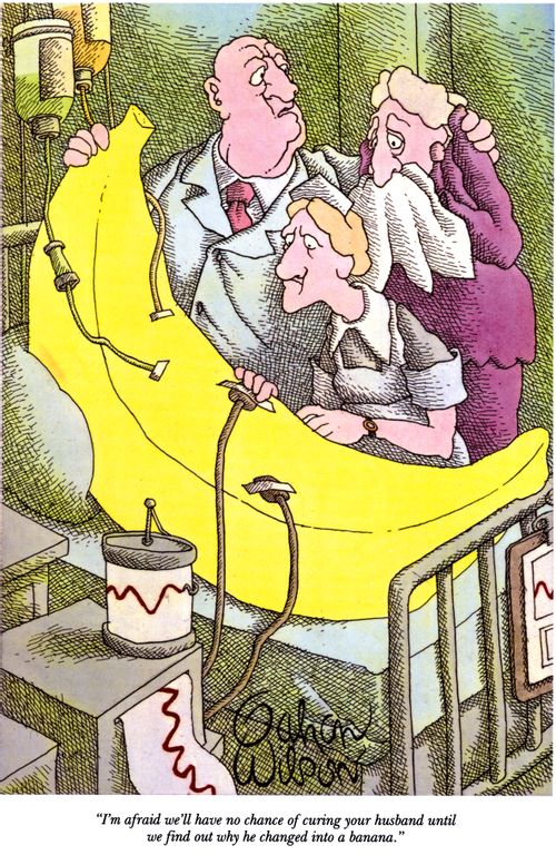 "I'm afraid we'll have no chance of curing your husband until we find out why he changed into a banana."