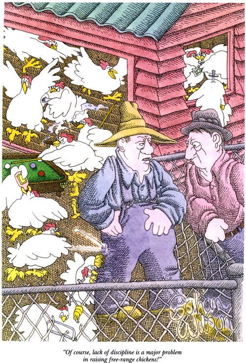 "Of course, lack of discipline is a major problem in raising free-range chickens!"