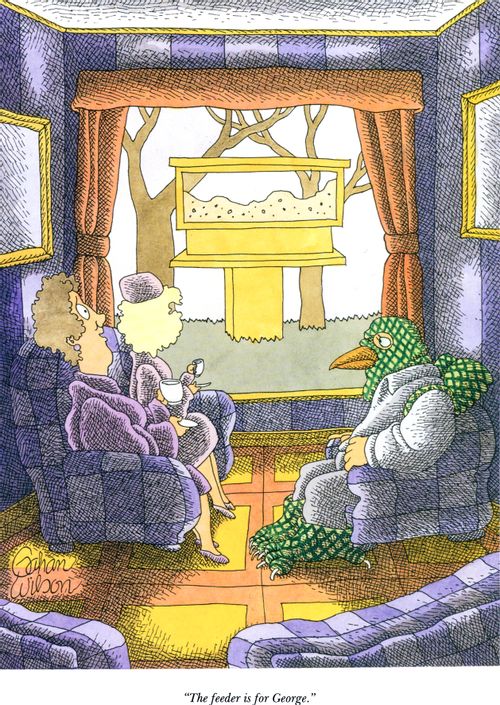 "The feeder is for George."