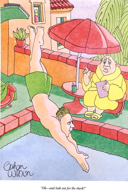 "Oh—and look out for the shark!"