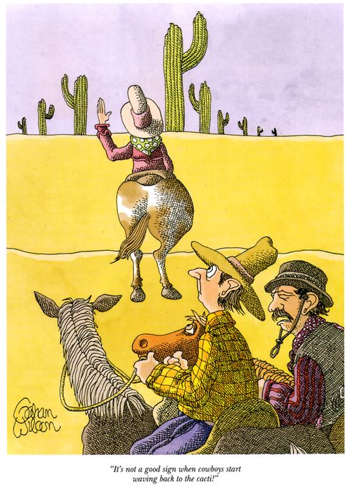 "It's not a good sign when cowboys start waving back to the cacti!"
