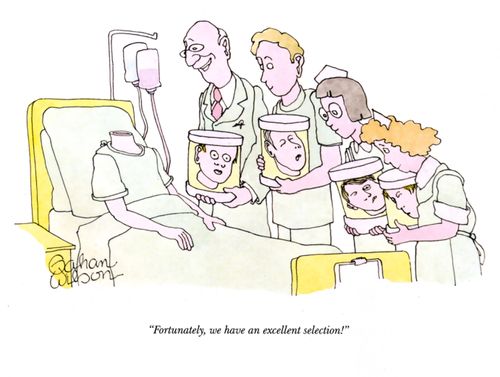 "Fortunately, we have an excellent selection!"