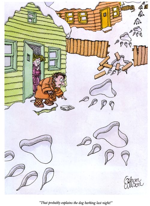 "That probably explains the dog barking last night!"