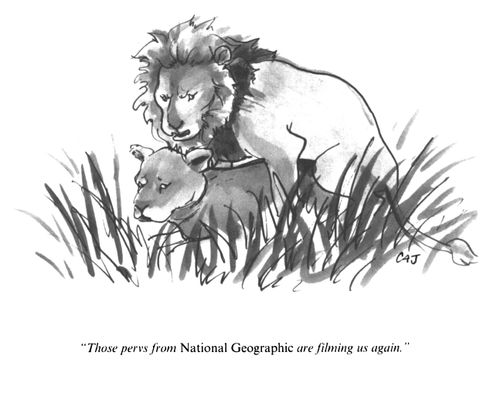 "Those pervs from the nature channel are filming us again."