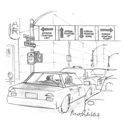 Driver looking at a confusing road sign with arrows pointing in many directions