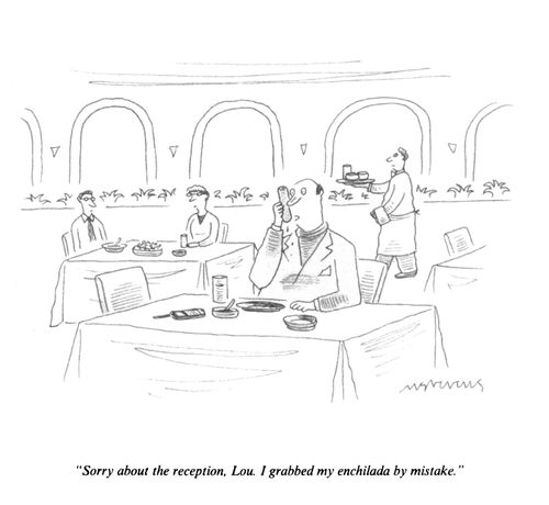"Sorry about the reception, Lou. I grabbed my enchilada by mistake."