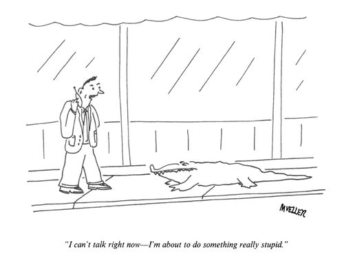 "I can't talk right now- I'm about to do something really stupid."