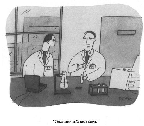 "These stem cells taste funny."