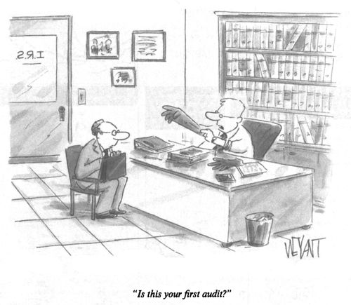 "Is this your first audit?"