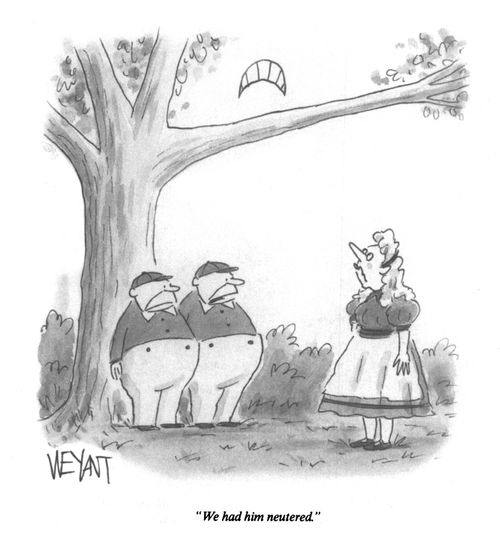"We had him neutered,"