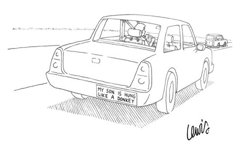 Bumper Sticker Reads: My Son Is Hung Like A Donkey
