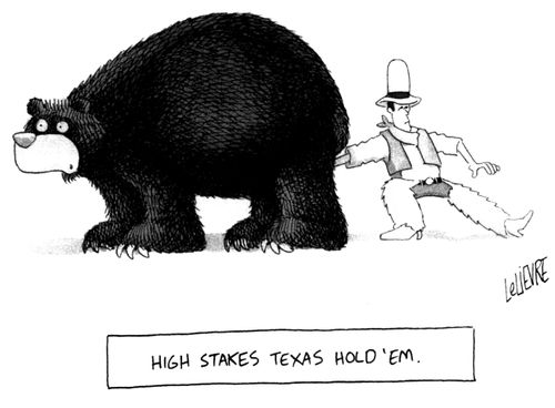 High Stakes Texas Hold 'Em