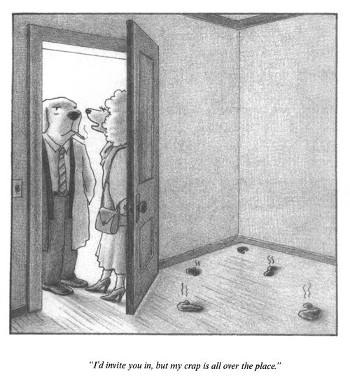 "I'd invite you in, but my crap is all over the place."