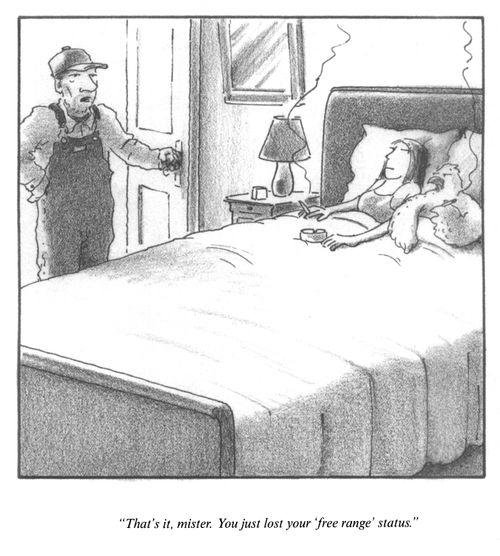 "That's it, mister. You just lost your 'free range' status."