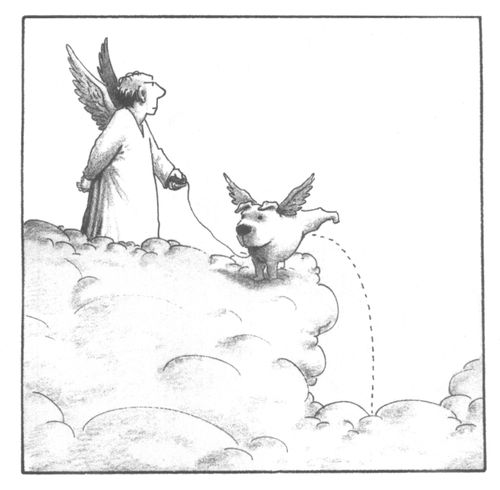 Angel in heaven walking a dog that is peeing off of a cloud