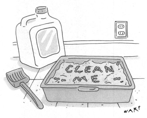 Cat litter box with feces spelling out the words "Clean me".