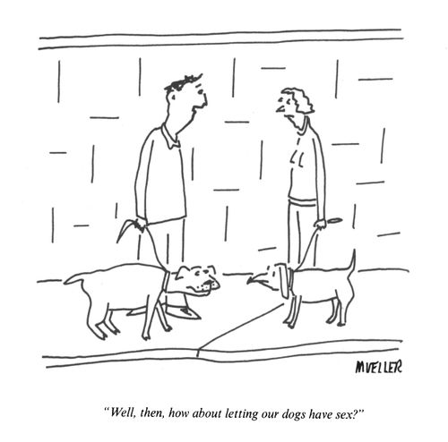 "Well, then, how about letting our dogs have sex?"