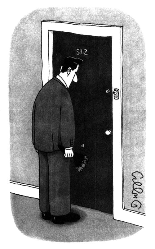 Peep Hole