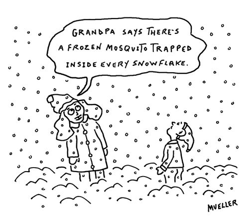 "Grandpa says there's a frozen mosquito trapped inside every snowflake."