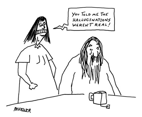 "You told me the hallucinations weren't real!"