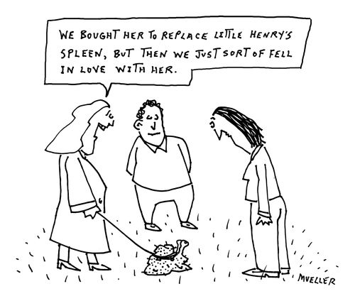 "We bought her to replace little Henry's spleen, but then we just sort of fell in love with her."
