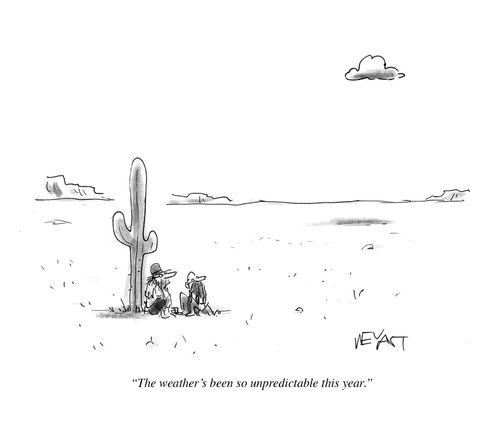 "The weather's been so unpredictable this year."
