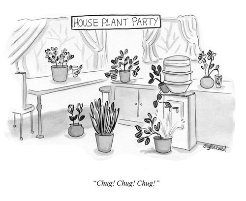 House Plant Party