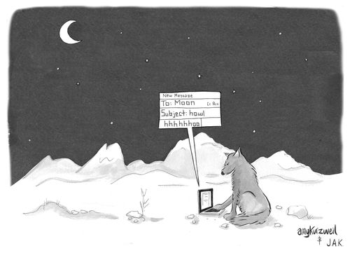 Wolf Email to the Moon