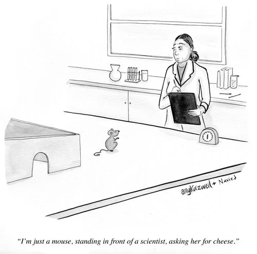 "I'm just a mouse, standing in front of a scientist, asking her for cheese."