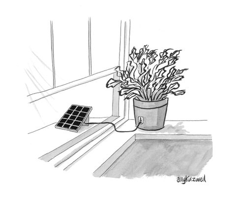 Solar Plant