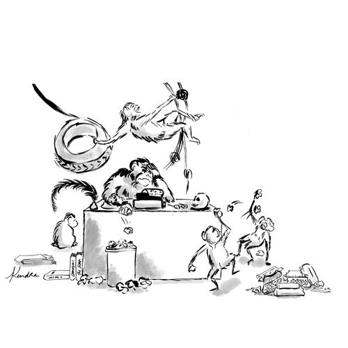 Working with Monkeys
