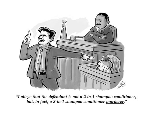 "I allege that the defendant is not a 2-in-1 shampoo conditioner, but, in fact, a 3-in-1 shampoo conditioner murderer."
