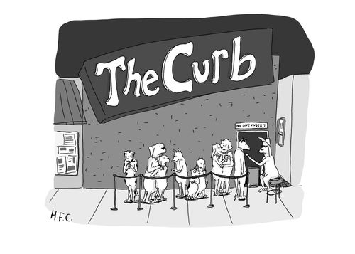The Curb Dog Club