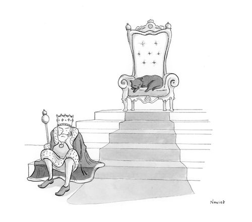 Cat is King