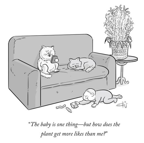 "The baby is one thing - but how does the plant get more likes than me?"