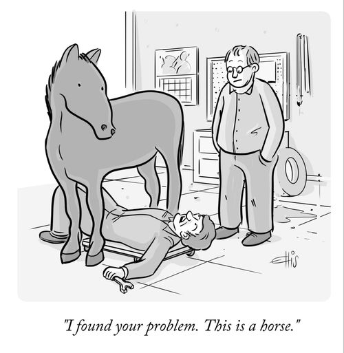 "I found your problem. This is a horse."