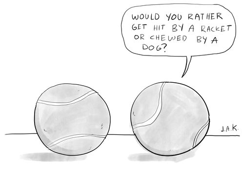 "Would you rather get hit by a racket or chewed by a dog?"