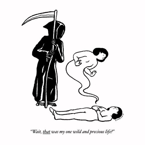 "Wait, that was my one wild and precious life?"