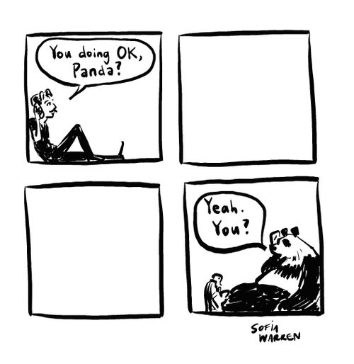 "You doing ok, Panda?"