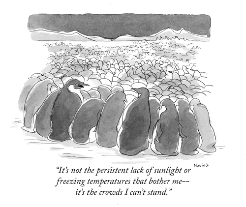 "It's not the persistent lack of sunlight or freezing temperatures that bother me - it's the crowds I can't stand."