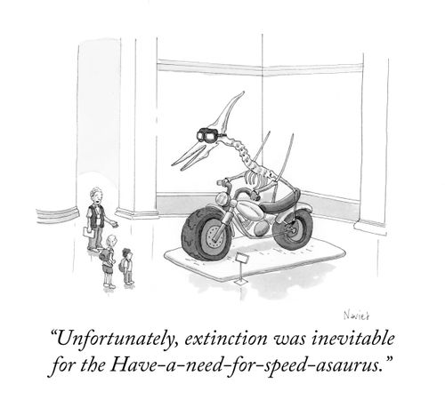 "Unfortunately, extinction was inevitable for the Have-a-need-for-speed-asaurus."