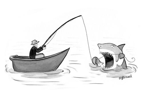 A shark flosses with a fishing line.